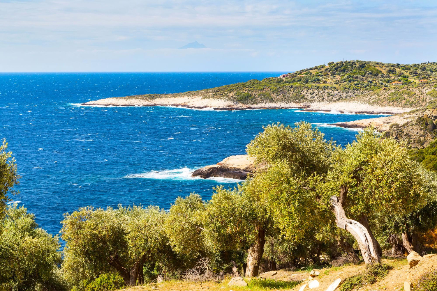 <p dir="auto"><strong>Where nature meets the Aegean</strong></p>