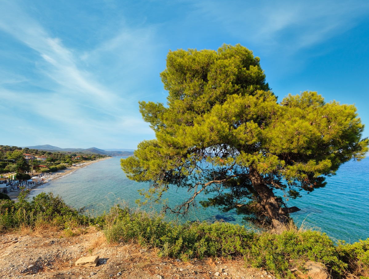 <p>Explore Halkidiki</p>